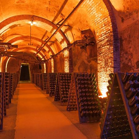 Le Cosy - Charmant 2 Chambres - Hyper Centre Реймс Экстерьер фото